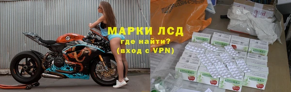 spice Алзамай