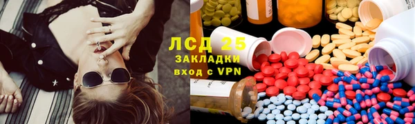 spice Алзамай