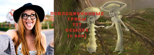 дживик Алексеевка