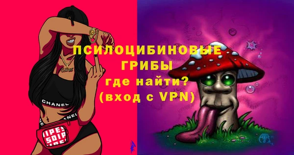 МДПВ Алексин
