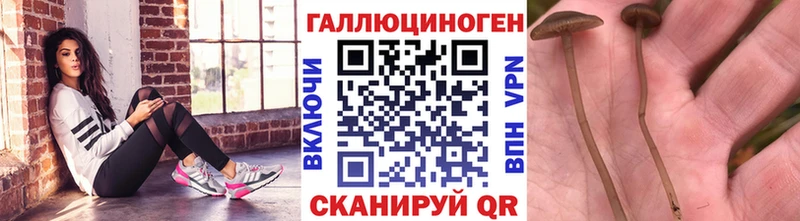 Псилоцибиновые грибы Magic Shrooms  Катайск 
