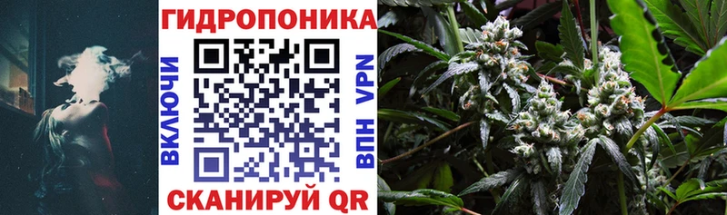 МАРИХУАНА OG Kush Катайск